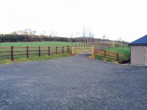 11088274_1382076502116401_1335173218984201284_n (1)