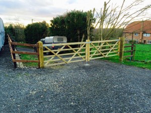 11102708_1382084905448894_1676496679745354638_n-1