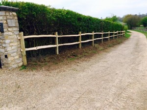 11188415_1400686233588761_3319750204370228680_n-1